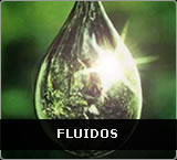 Fluidos